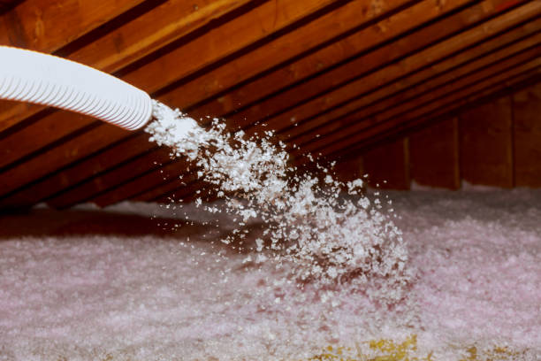Best Insulation Maintenance and Repair in Osburn, ID